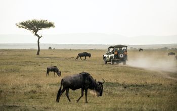 solo trips, safaris, EF Go Ahead Tours, solo traveling, Kenya