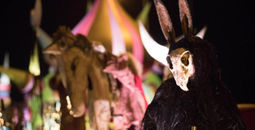 Puca Festival, Ireland