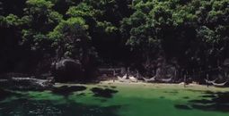 Discover the natural beauty of Puerto Vallarta & Riviera Nayarit