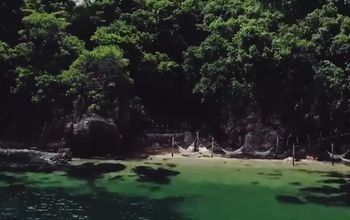 Discover the natural beauty of Puerto Vallarta & Riviera Nayarit