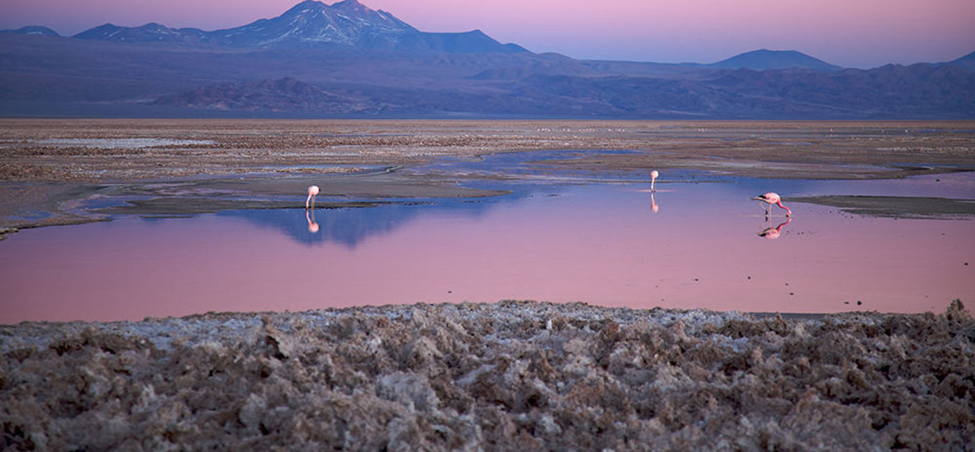 Image: PHOTO: Take a day trip to Salar de Atacama when visiting Chile. (photo via Flickr/Nicolas de Camaret)