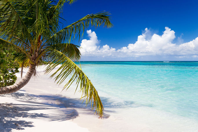 Palm trees at Flamenco Beach, Culebra, Puerto Rico