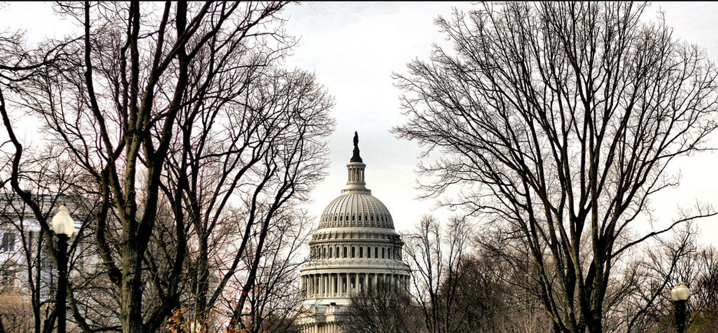 Image: PHOTO: The U.S. Capitol in Washington, D.C. (photo via Flickr/Phil Roeder)