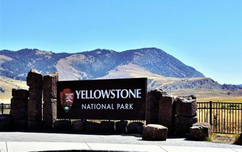 Yellowstone National Park