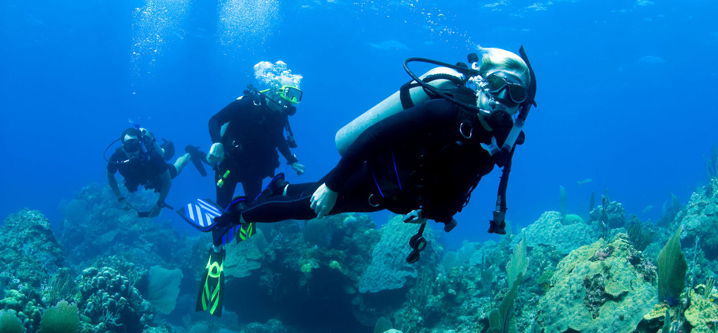 Image: Aggressor Adventures specializes in liveaboard dive itineraries. (dsafanda / iStock / Getty Images Plus)