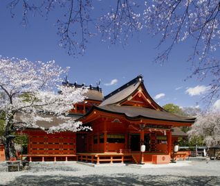 Fujinomiya Japan, Fujinomiya, temples, Japan temple, Temple in Japan