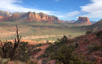 Cathedral Rock