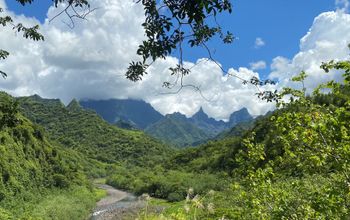 Tahiti Iti