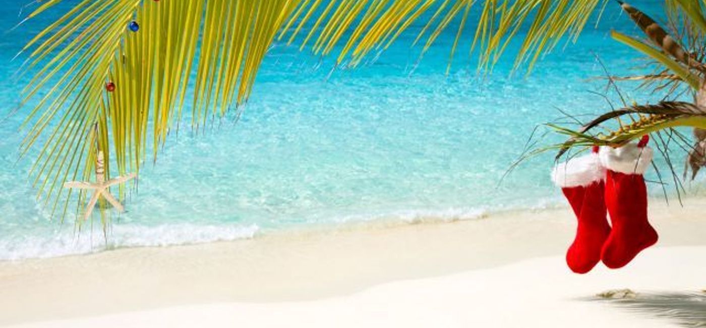 Image: Christmas in Florida (TriSmarter.com)