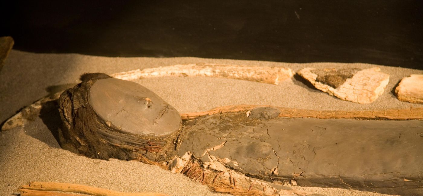 Image: Museo Momias Chinchorro (photo via Chile)