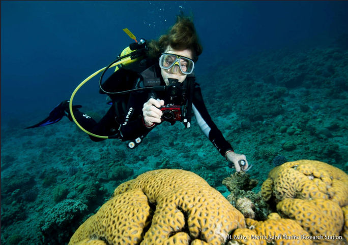 Dr. Sylvia Earle, Explora I, Explora Journeys, new cruise lines, cruise ship godmothers