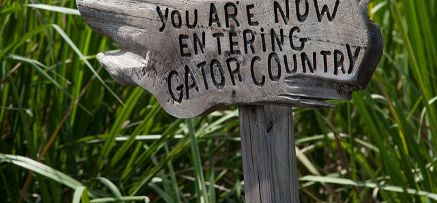 Image: PHOTO: A helpful warning sign at the beginning of a New Orleans bayou tour. (photo via Flickr/Gary J. Wood) 