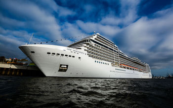 The MSC Magnifica in the Port of Hamburg in Germany