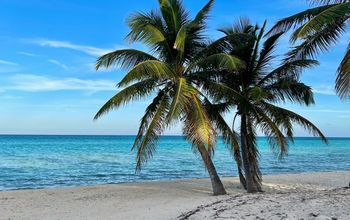 Bahamas Caribbean