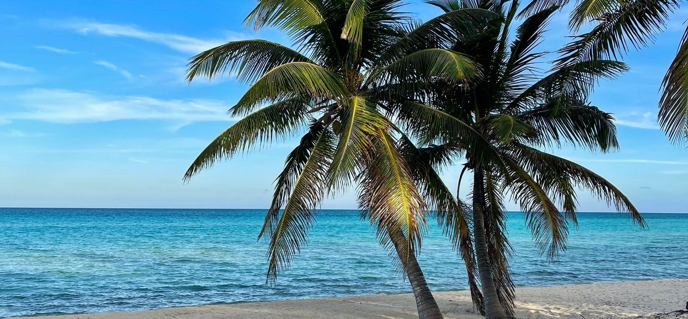 Image: Beautiful views in the Bahamas (photo by Sarah Greaves-Gabbadon)