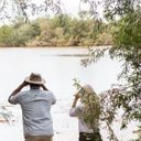 birding, birdwatching, birding gilbert, Arizona birdwatching