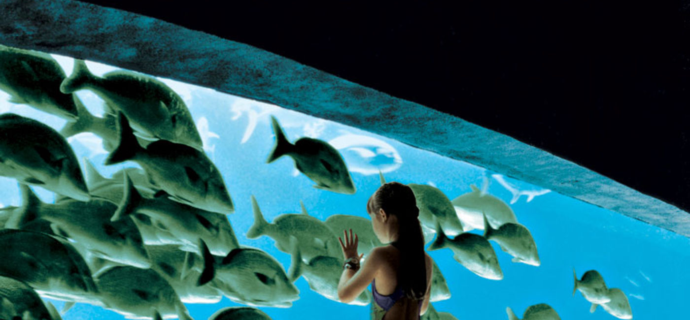 Image: PHOTO: The aquarium at Atlantis Paradise Island. (photo courtesy of Nassau Paradise Island)