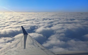 Plane wing