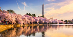 Six Itineraries, One Iconic Country