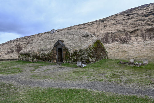 Erik the Red, Viking, turfhouse, Iceland