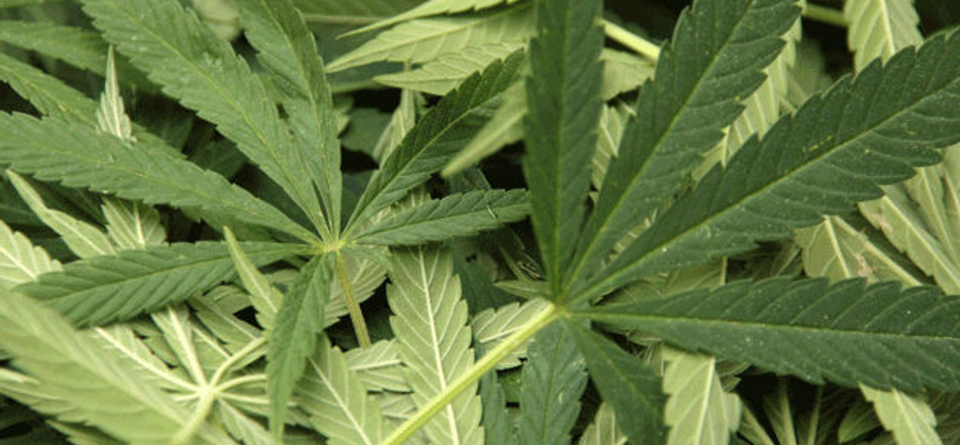 Image: PHOTO: Selling cannabis travel involves unique logistical issues for agents. (photo courtesy of Thinkstock)