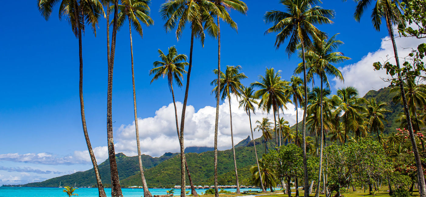 Image: Temae Beach, Moorea (Photo by Scott Laird)