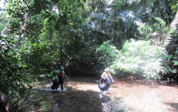 Belize, river tubing, Belize travel, jungle