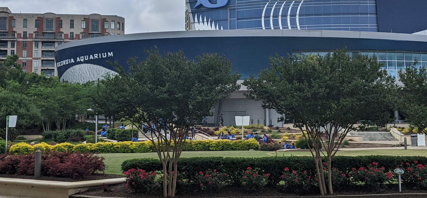 Image: Georgia Aquarium (Photo via Lauren Bowman)