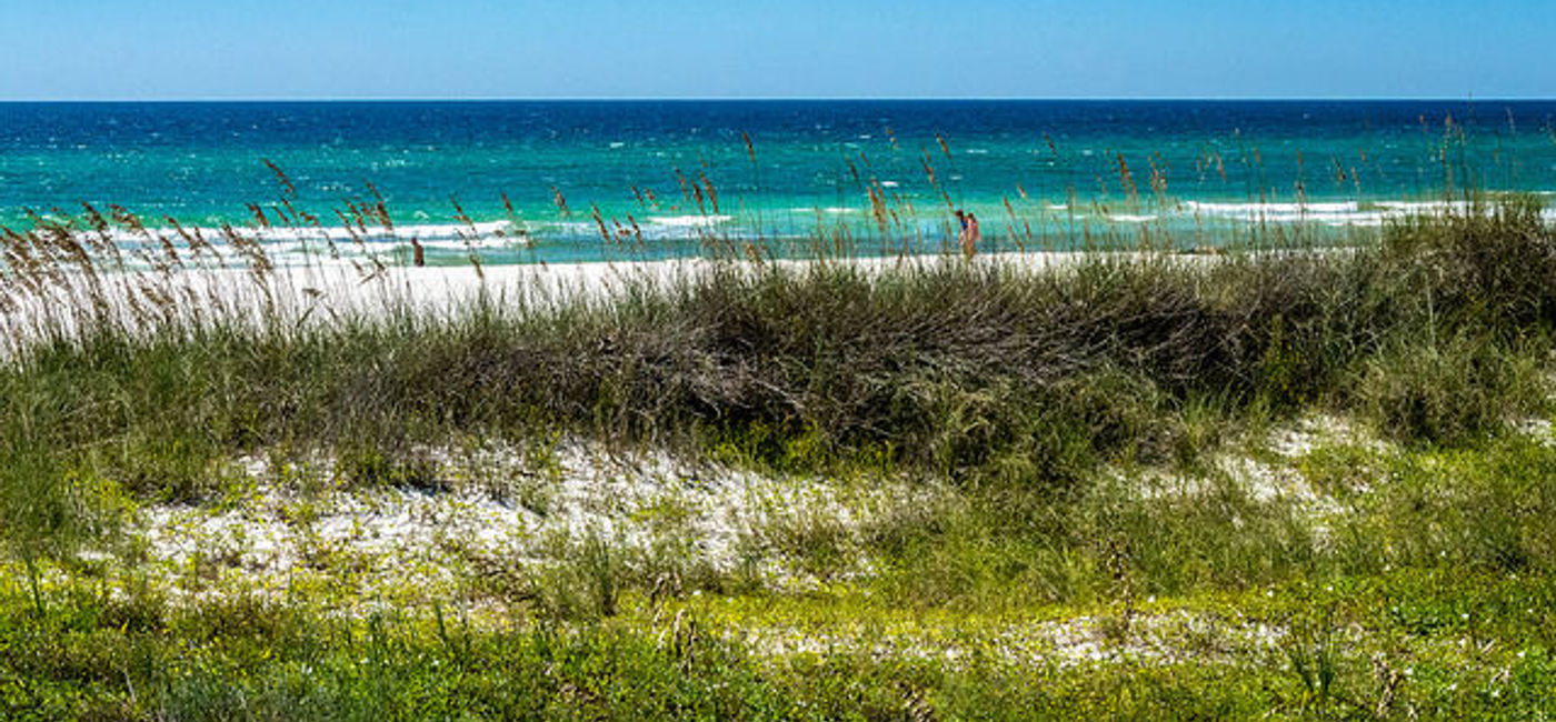 Image: PHOTO: Beautiful Panama City Beach is a must-see in the Florida Panhandle. (Courtesy Flickr/dconvertini)