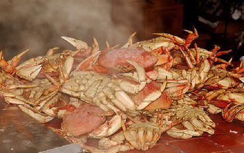 Crabs, Fisherman's Wharf, San Francisco