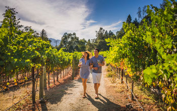 En Napa Valley hay bodegas de clase mundial, restaurantes de estrellas Michelín, alojamientos de lujo y paisajes hermosos. (photo: Visit The USA)