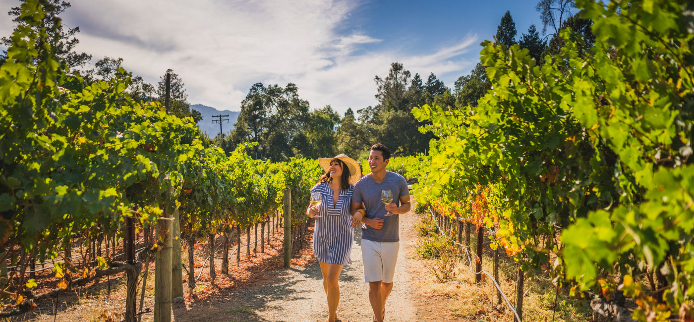 Image: En Napa Valley hay bodegas de clase mundial, restaurantes de estrellas Michelín, alojamientos de lujo y paisajes hermosos. (photo: Visit The USA)