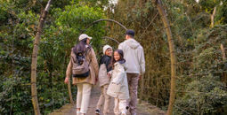 Adventures by Disney, South Africa, Family tours