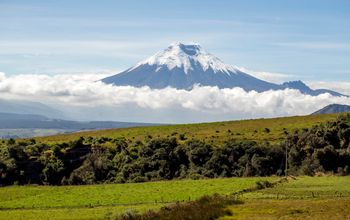 Quito Tourism Board