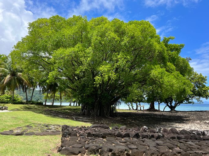 Taputapuatea, a UNESCO World Heritage Site Taputapuatea, a UNESCO World Heritage Site