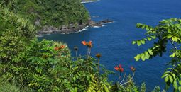 The Road to Hana, Maui