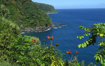 The Road to Hana, Maui