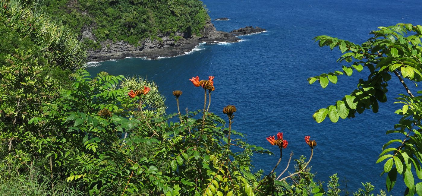 Image: PHOTO: The Road to Hana, Maui. (photo by Jim Byers) (Jim Byers/TravelPulse Canada)