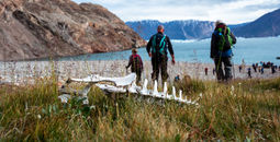 Hiking in Greenland