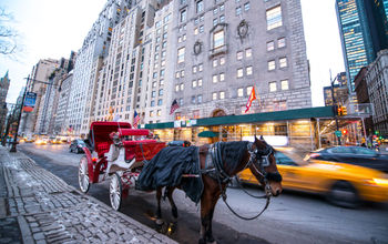 NYC Horse Carriage