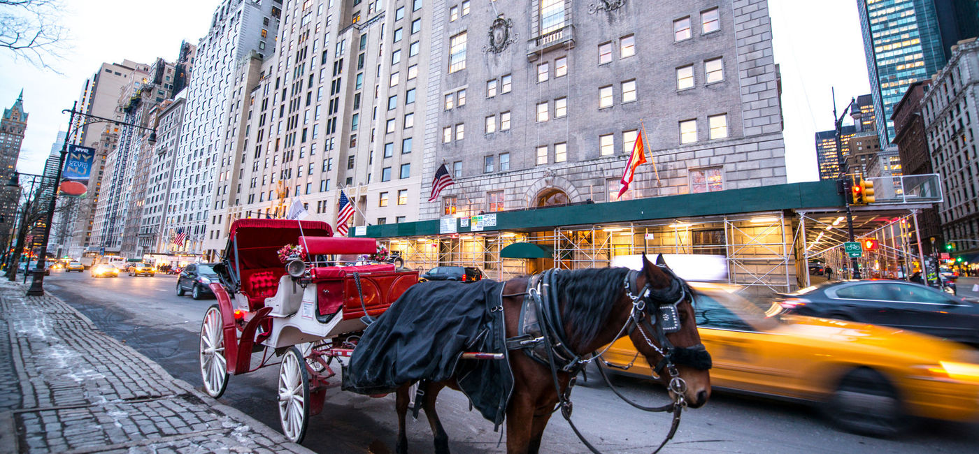 Image: Horse Carriage waiting for passengers near Central Park, NYC (photo via anouchka / iStock / Getty Images Plus)