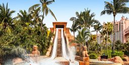 Aquaventure at Atlantis, Paradise Island