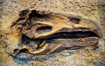 Dinosaur National Monument