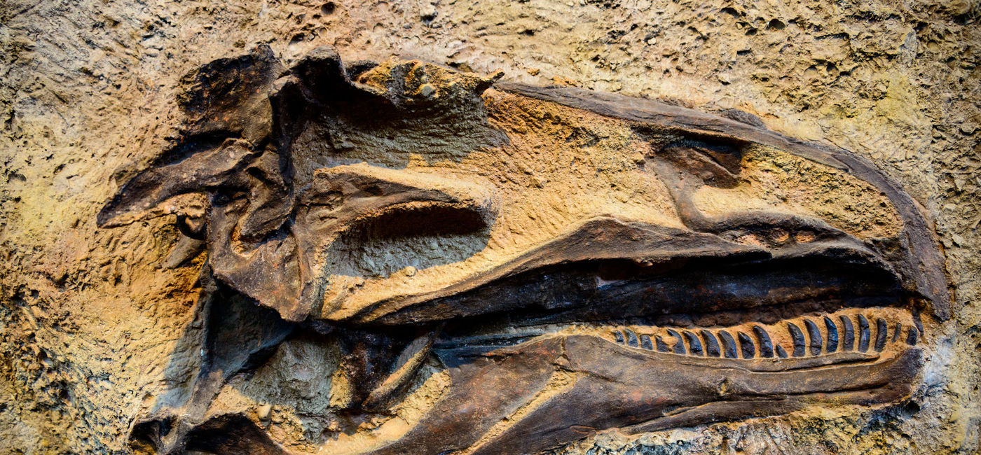 Image: Dinosaur National Monument (Photo via zrfphoto / iStock / Getty Images Plus)