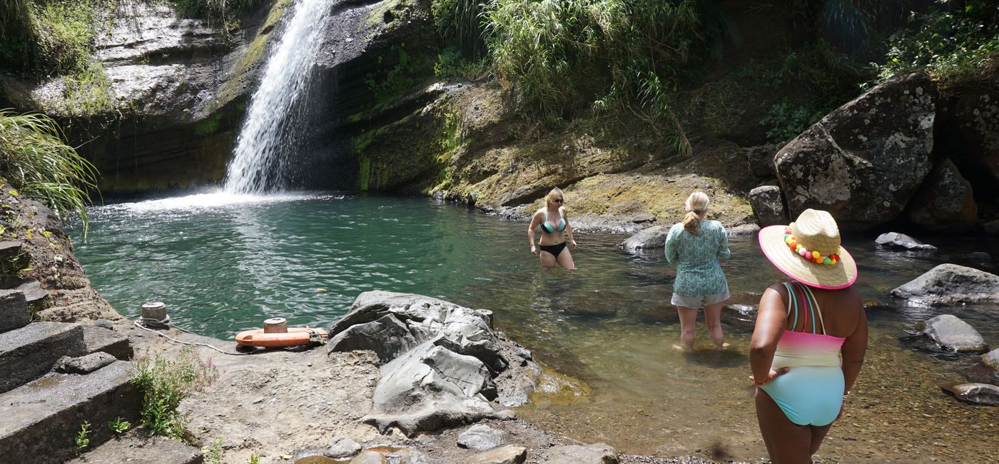 Image: Waterfall in St. George's, Grenada. (photo by Brian Major)