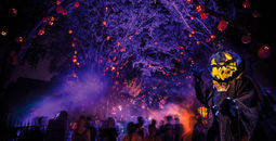 Halloween Horror Nights at Universal Studios.