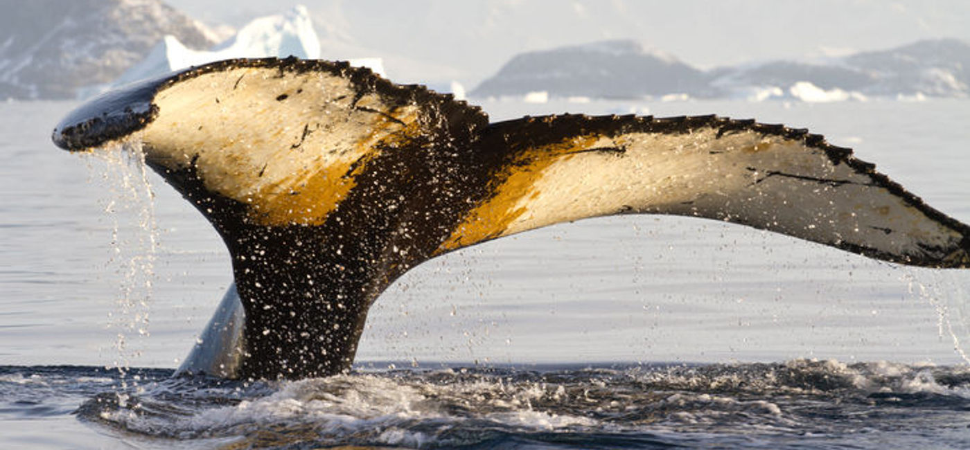 Image: Photo courtesy of Thinkstock (Thinkstock)