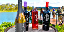 Wines of Guanajuato