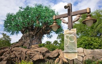 Earth Month 2022 at Disney’s Animal Kingdom &ndash; Tree of Life.