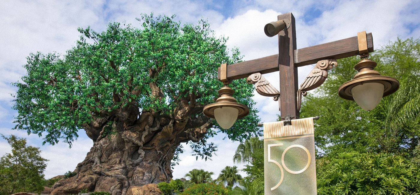 Image: Earth Month 2022 at Disney’s Animal Kingdom – Tree of Life. (photo via Walt Disney World Resort Media)